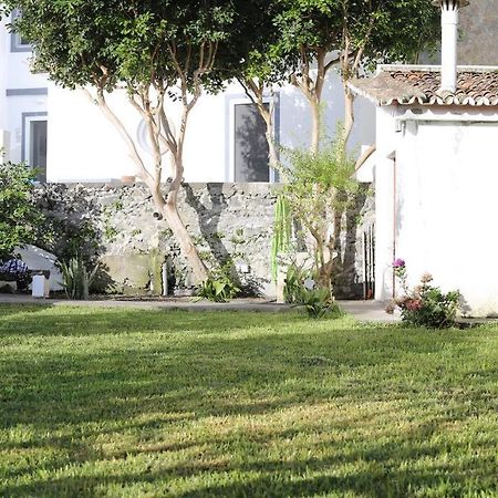 City Center, 200 Meters To Marina, Walk To Everything, Private Yard And Garden Ponta Delgada - Açores Exterior foto