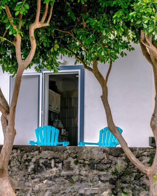 City Center, 200 Meters To Marina, Walk To Everything, Private Yard And Garden Ponta Delgada - Açores Exterior foto